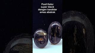 Emas abstrak fosil kelor super black #viral #galihkelor #preciousgems #gemstonejewelry #emas