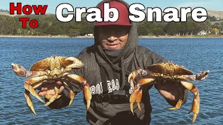 HOW TO CATCH CRABS WITH SNARES! For Beginners.