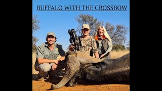 BUFFALO WITH THE CROSSBOW - CLOSE ENCOUNTER