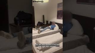 England Fans Return to Hotel Room to Find 'Drunk' Stranger in Bed || Dogtooth Media