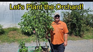 Planting the Orchard