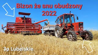 ☆Pierwszy wyjazd Bizona Z056 2022!!! Koszenie jęczmienia☆MTZ 82