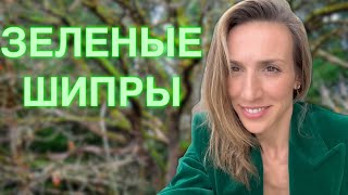 ЗЕЛЕНЫЕ АРОМАТЫ | ЗЕЛЕНЫЕ ШИПРЫ