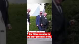 Joe Biden snubbed by Ireland's president's dog 🐕#shorts #trendingshorts #trending