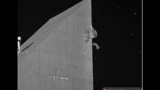 FalconCam 2024 04 10 Intruder swoops Diamond at night