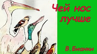 Чей нос лучше?  Аудиосказка с картинками. Сказки детям. В. Бианки