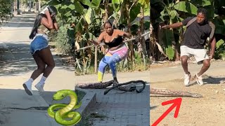 Cu!dad0! Doble Serpiente Millonaria! 🤑 🐍 🐍 #viral #humor