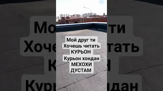 мой друг Ти хочешь читать КУРЬОН #2023 #рекомендации