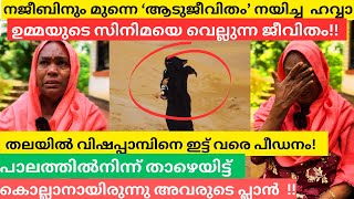 യഥാർത്ഥ ആടുജീവിതം നയിച്ച മലപ്പുറത്തെ ഹവ്വാ ഉമ്മയുടെ കണ്ണീരണിഞ്ഞ ജീവിതം ! | MalluMagellan