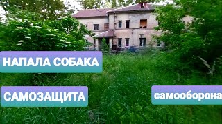 Напала собака. Самозащита. Реальный опыт. Обдумайте, подготовьтесь. Самозащита.