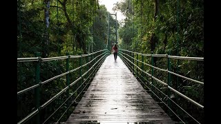 OTS_ Tropical Biology in Costa Rica, Pre-Departure Orientation 2019