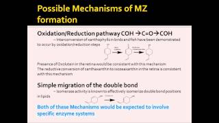 "The role of the macular carotenoids lutein, zeaxanthin and meso-zeaxanthin in the eye"