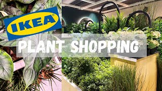 IKEA Plant Tour | What's New in IKEA | August 2022