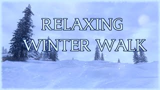 Skyrim Relaxing Winter Walk ❄ 4k