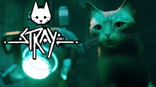 Let's Play: Stray - Part 2 - B12, My Backpack Buddy