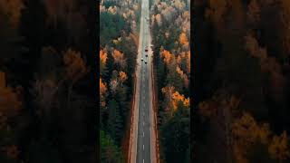 amazing road #beautyofnature  #amazing  #road  #tree