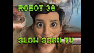 0049 Toonify SSTV Robot36