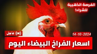 سعر الفراخ البيضاء اليوم في مصر 14-10-2024 | اسعار الفراخ الان