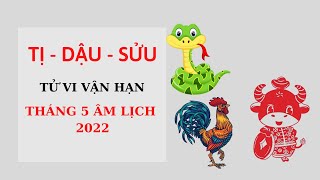 Tử Vi Vận Hạn Tuổi Tị - Dậu - Sửu trong tháng 5 Âm Lịch 2022