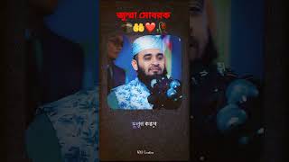 ইসলামিক ভিডিও স্ট্যাটাস, জুম্মা মোবারক #jummamubarak #islamicstatus #statusvideo #SMcreation455