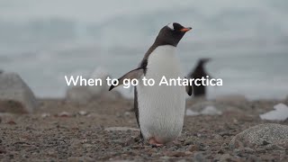 When is the best time to visit Antarctica?