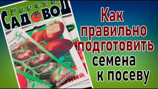 Как правильно подготовить семена к посеву