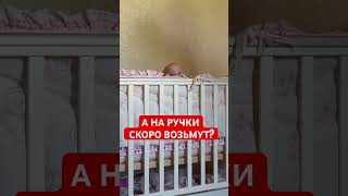 А то уже сна нет 🙂‍↔️ #малышка #дети #многодетнаясемья #baby #семейный