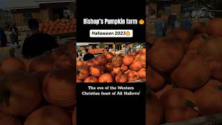 Halloween 2023🎃👻 Bishops pumpkin farm🎃 United States California 🇺🇸 #halloween #shorts #viral