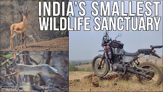 Mayureshwar - India's smallest wildlife sanctuary | Motorcycle safari | Chinkara, Fox, Wolf, Hyena