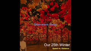 slow-wave sleep