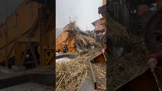 A visit to Sugar Mill #part1 #shortvideo