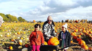 The Secret Farm || Pumpkin Patch ‘22