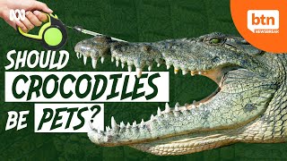 Crocodiles: Pets or Predators?