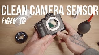 How To Clean Your Cameras Sensor | Sony Sensor Cleaning | A7III A9 A7RIII A7SII Sensor Dust