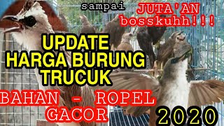 HARGA TRUCUK BAHAN sampai GACOR !!! 2020 bisa sampai JUTAAN RUPIAH..