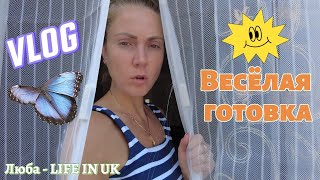 01.08.24 🇬🇧 /VLOG/🔥Домашний влог/Витаминный салат/Он любит,когда его щиплют/🍗Картошка с курицей/🥔