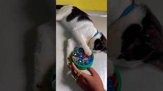 😻🌈🎉Oddly satisfying asmr, trending asmr beads,beads reverse, beads fun,viral asmr,viral cat video