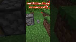 Illegal block in minecraft...