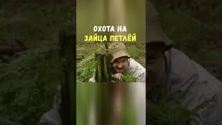 Охота на Зайца | Приколы Охота Рыбалка Туризм | Тик Ток #Shorts