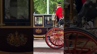 Prince Louis at Trooping The Colour 2024 #princelouis