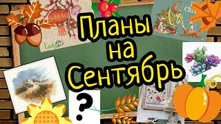 Видео 7 Как разрешить себе стартовать? и парочка финишей!