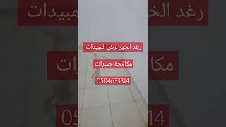 شركة مكافحة حشرات بالرياض رش مبيدات #شركة_مكافحة_حشرات_بالرياض