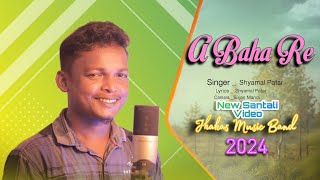 A Baha re Shyamal Patar Singer Jharai program #shyamalpatar #rammandir #santalivideo