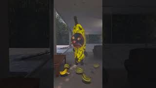 Bananacat Was Robbed #gmod 😺🍌