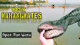 TERBARU!!! Mancing Mania Waduk Karangkates||Spot BON WATU #eps45