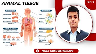 Animal Tissue ( epithelial tissue) for CEE,NEB ,NEET  Part 1