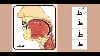 Practicing the letter طاء
