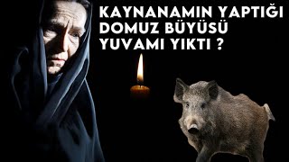 Kaynanamın Yaptıgı Domuz Büyüsü  !!#paranormal