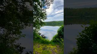 Доехали до Южской Карелии #велосипед #гревел #путешествия #gravelbike #nature