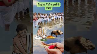 Pitru paksha me 3 vraksh ke upay || Pitru Paksha 2024 #shradh  #pitrupaksha #pitruamavasya